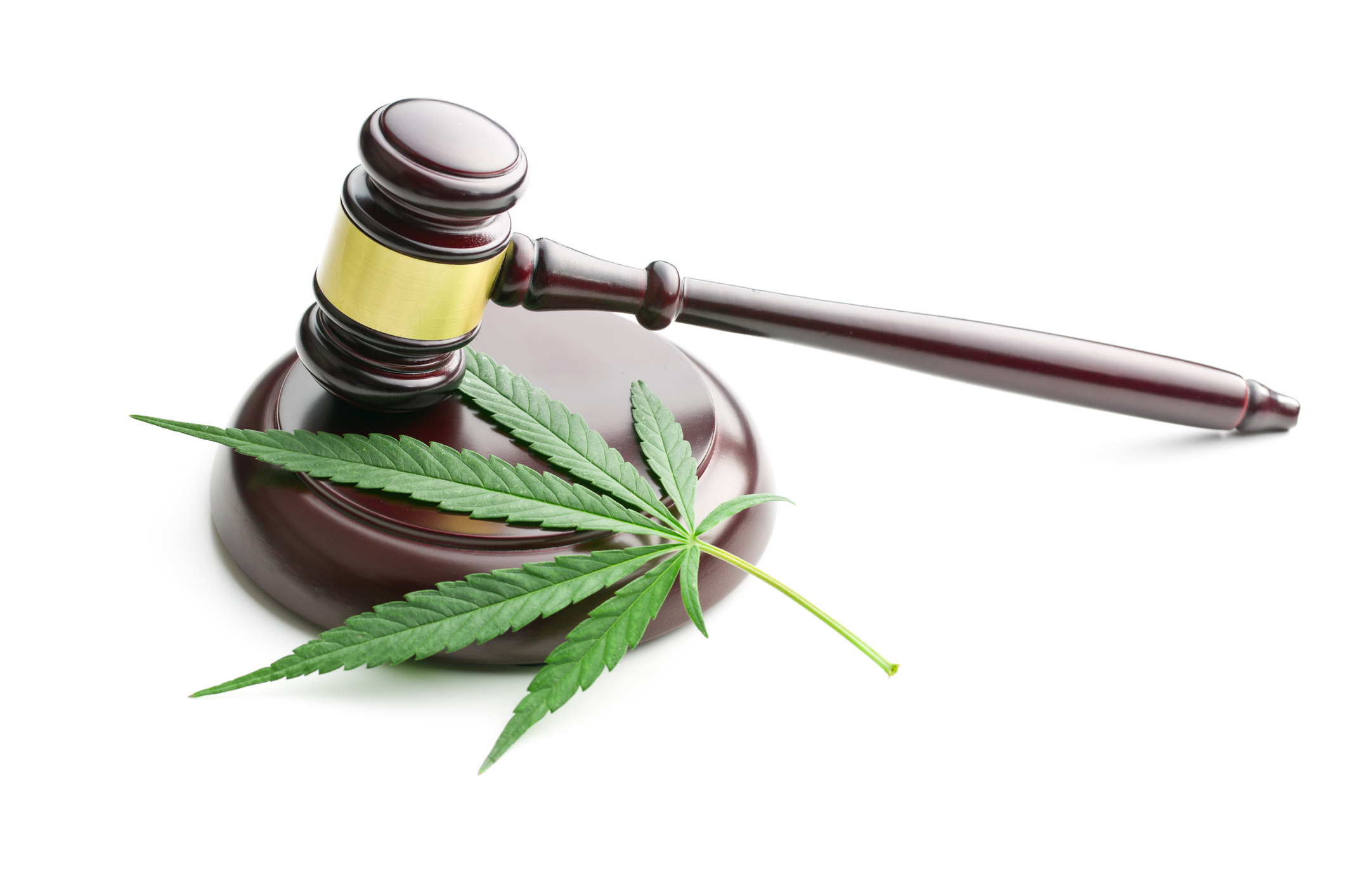 Cannabis and gavel