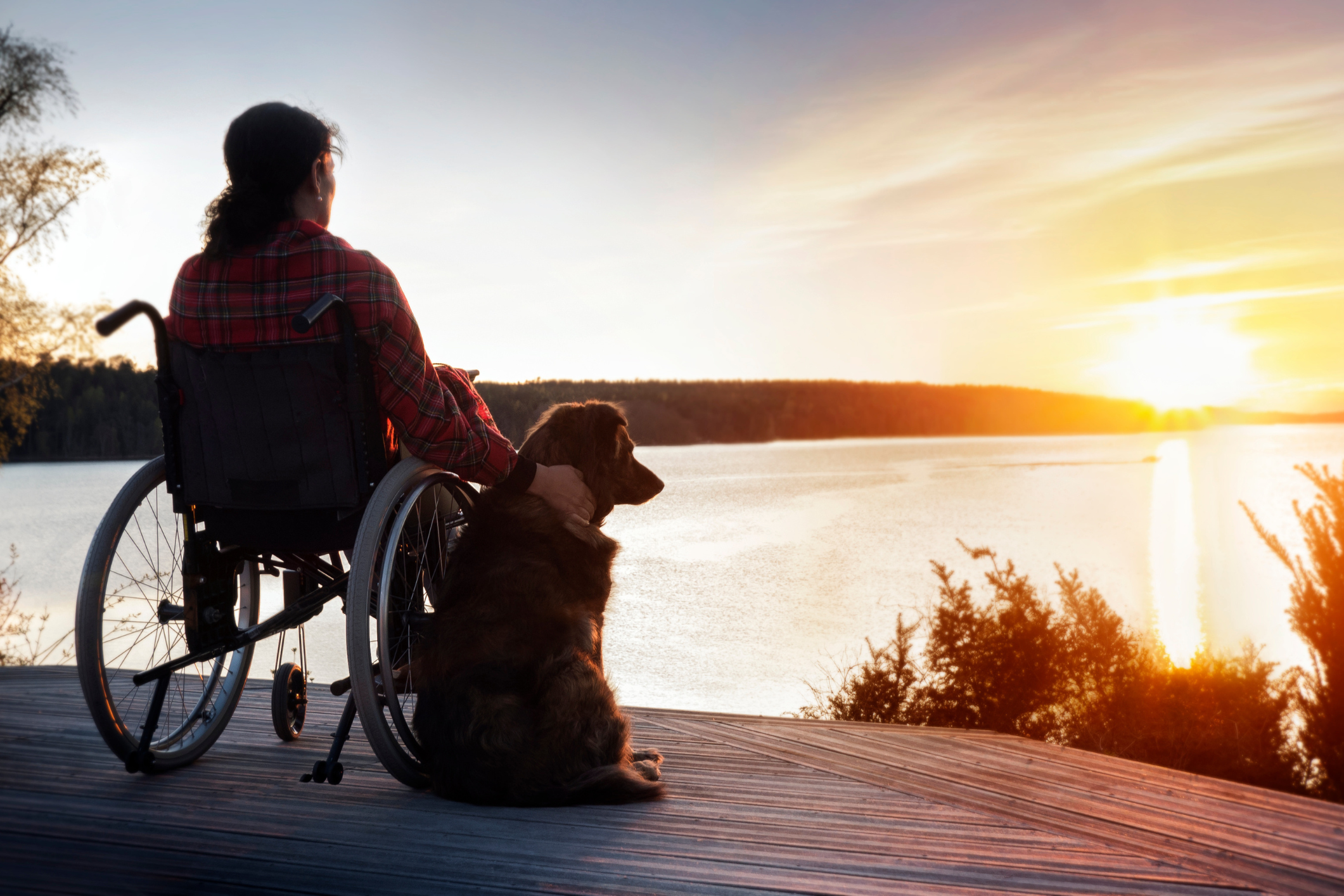 Nature Disabilities 2
