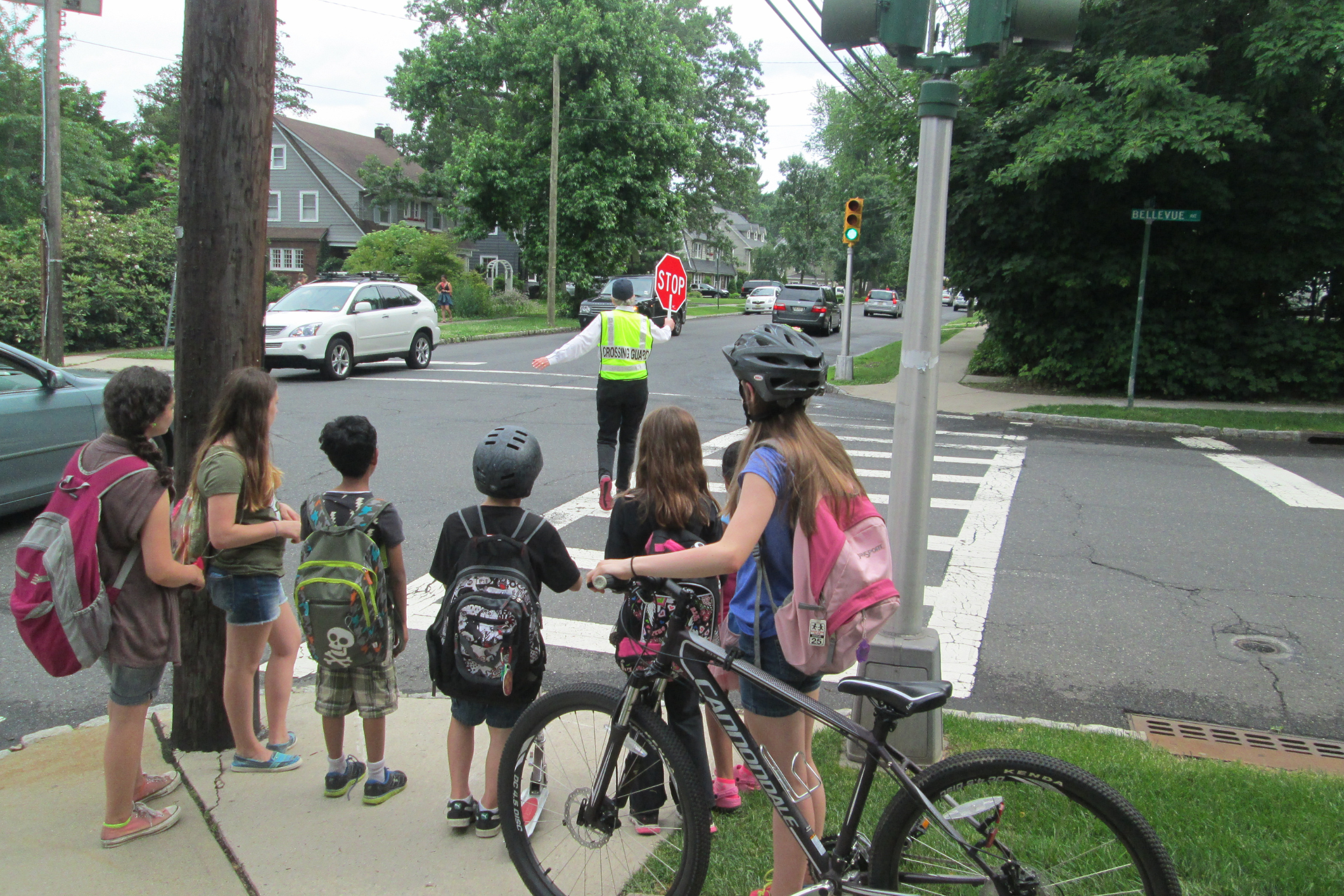 Pedestrian Fatalities 1