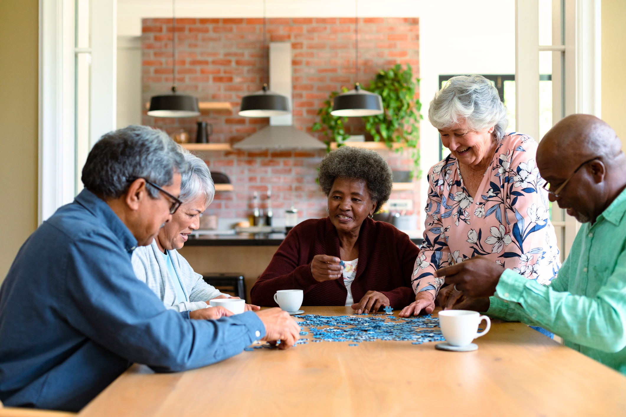 Senior Aging in Place