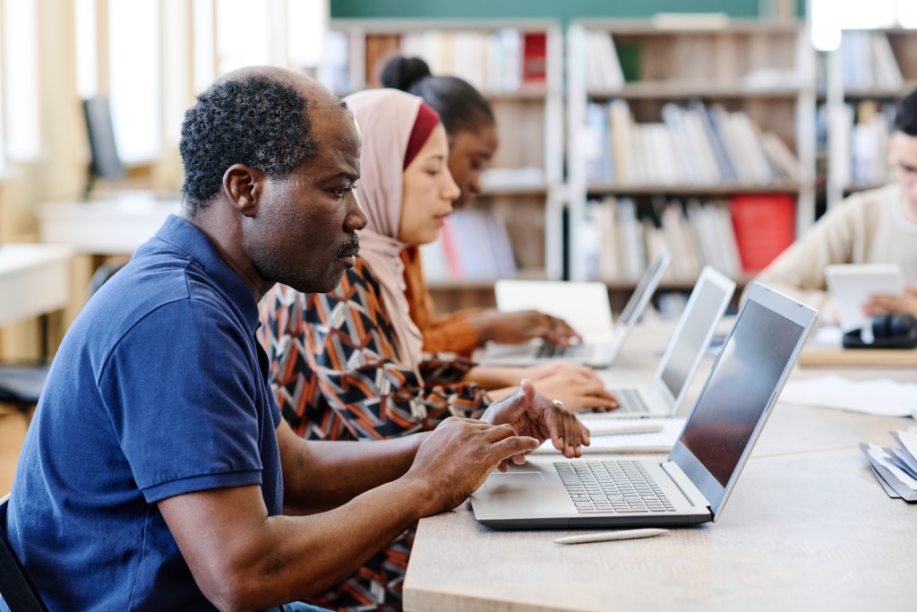 Digital Skills for Accessing Local Government Services